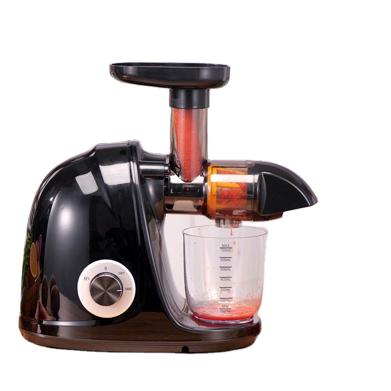 Kitchen Appliances Wholesale - 2026-Schwarzer Horizontaler Slow Juicer – Hochwertiger